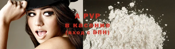 тгк Алексин