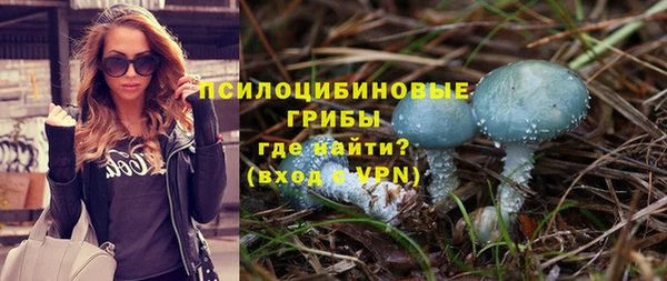 тгк Алексин